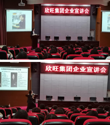 凝心聚力促就业,齐心共筑展未来