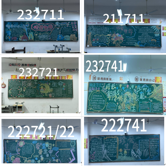 珍爱生命 守护生命之花